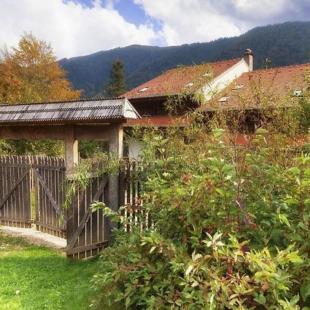 Вилла Casa Ferica Азуга Экстерьер фото