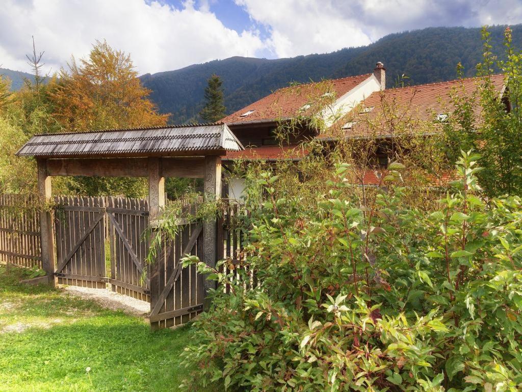 Вилла Casa Ferica Азуга Экстерьер фото