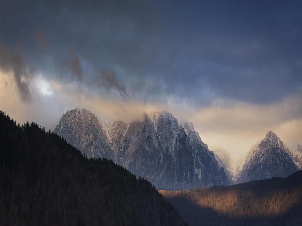 Вилла Casa Ferica Азуга Экстерьер фото